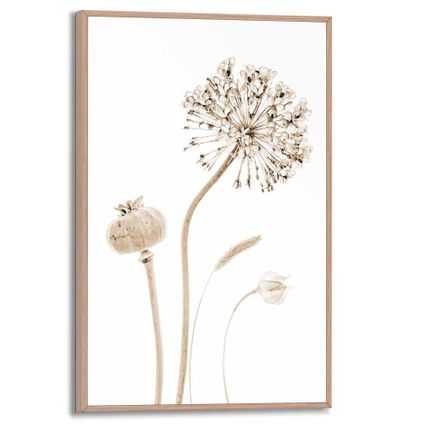 Schilderij Droogbloemen  Papaver - Allium - Plant - Slim Frame 20 x 30 cm MDF Zand