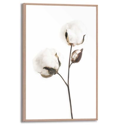 Tableau Slim Frame Rameau de coton-Nature-Fleur sèche MDF noir-blanc 20x30cm