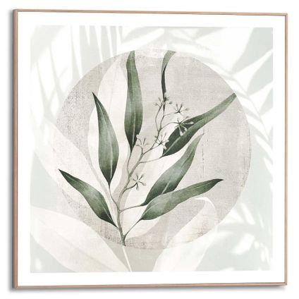 Schilderij Bladeren Botanisch - Natuur - Abstract - Schaduw - Zon  - Slim Frame 50 x 50 cm MDF Groen