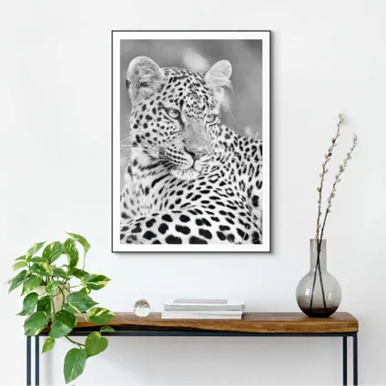 Schilderij Luipaard Zuid Afrika - Safari - Gevlekt - Katachtigen  - Slim Frame 50 x 70 cm MDF Zwart-Wit                                                                                                                                                                                                                                                                                                                                                                                                                                                                                                                                                                                                                                                                                                                                                                                                                                                                                                                                                                                                                                                                                                                                                                                                                    2