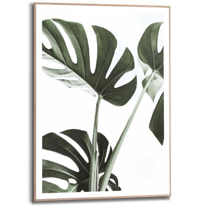 Schilderij Monstera Gatenplant - Blad - Botanisch - Natuur - Slim Frame 50 x 70 cm MDF Groen