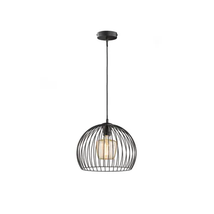 Fischer & Honsel hanglamp zwart ⌀30cm E27 40W