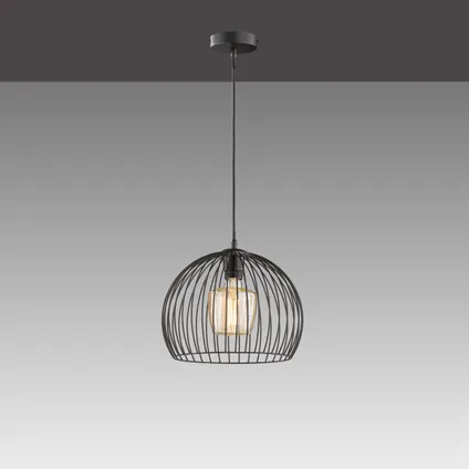 Fischer & Honsel hanglamp zwart ⌀30cm E27 40W 2