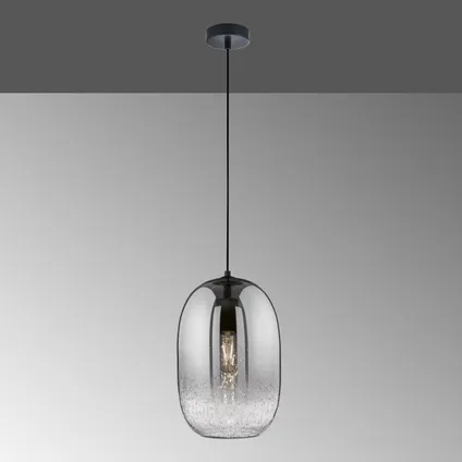 Fischer & Honsel hanglamp gerookt glas ⌀25cm E27 60W 2