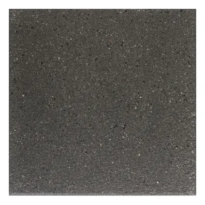 Cobo Garden terrastegel Bruhl - gecoat beton - zwart - 40x40x3,7cm