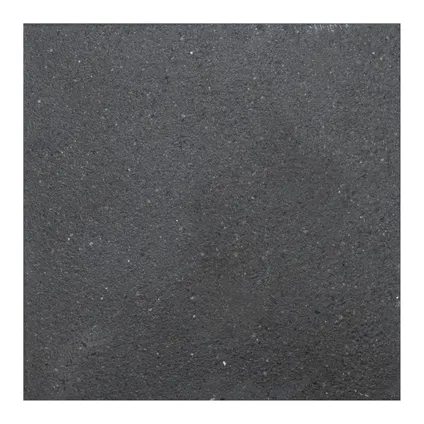 Cobo Garden terrastegel Bruhl -gecoat beton - zwart - 40x40x3,7cm 2