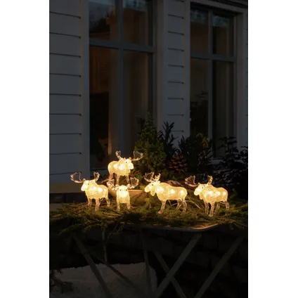 Konstsmide set van 5 LED-elanden acryl warm wit 400cm 3