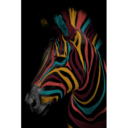Glassart multikleur zebra 45x65cm