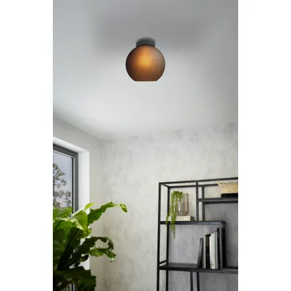 EGLO plafondlamp Cesenatico gerookt glas ⌀25cm E27 3