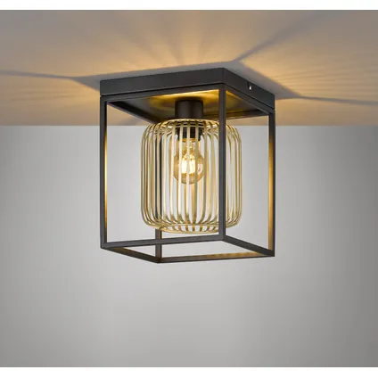 Fischer & Honsel plafondlamp Caydo zwart goud E27 40W 2