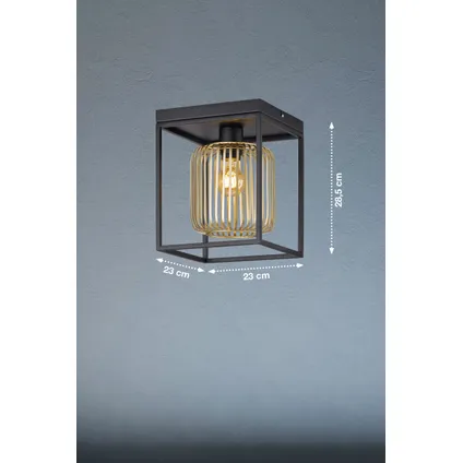 Fischer & Honsel plafondlamp Caydo zwart goud E27 40W 3