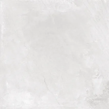 Wand- en vloertegel Flora Silver - Keramiek - Grijs - 60x60cm - Pakketinhoud 1,44m²