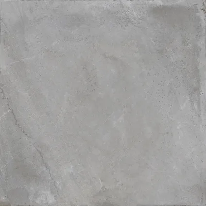 Wand- en vloertegel Flora Pearl - Keramiek - Grijs - 60x60cm - Pakketinhoud 1,44m² 3