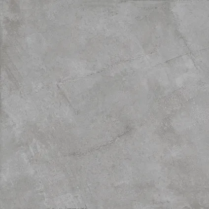 Wand- en vloertegel Flora Pearl - Keramiek - Grijs - 60x60cm - Pakketinhoud 1,44m² 4