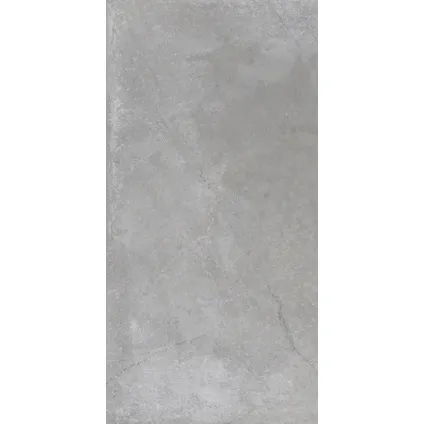 Wand- en vloertegel Flora Pearl - Keramiek - Grijs - 30x60cm - Pakketinhoud 1,44m² 3
