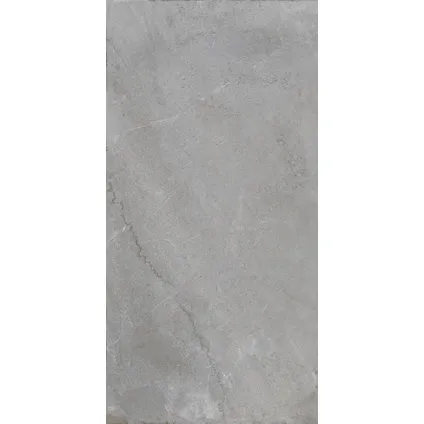 Wand- en vloertegel Flora Pearl - Keramiek - Grijs - 30x60cm - Pakketinhoud 1,44m² 4