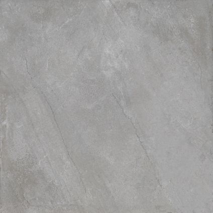 Wand- en vloertegel Flora Pearl Grip - Keramiek - Grijs - 60x60cm - Pakketinhoud 1,44m²