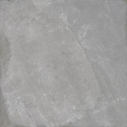 Wand- en vloertegel Flora Pearl Grip - Keramiek - Grijs - 60x60cm - Pakketinhoud 1,44m² 4