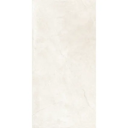Wand- en vloertegel Flora Cream - Keramiek - Beige - 30x60cm - Pakketinhoud 1,44m² 3