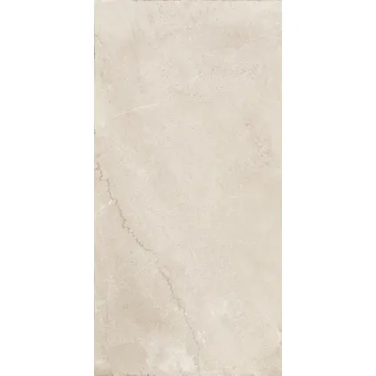 Wand- en vloertegel Flora Bone - Keramiek - Beige - 30x60cm - Pakketinhoud 1,44m² 4
