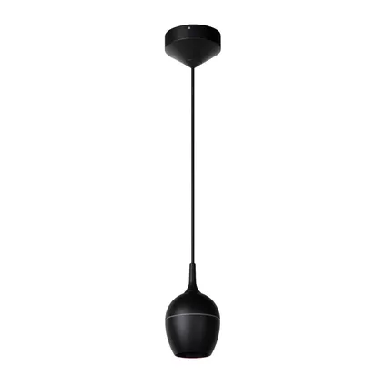 Lucide hanglamp Preston zwart ⌀10cm GU10 2