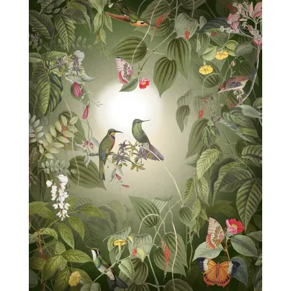Komar photo murale Wildlife Birds 2