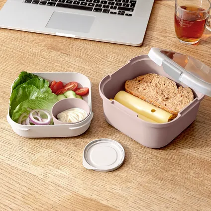 Sunware Sigma Home Food to go lunchbox roze lichtgrijs 17,7x17,7x8,7cm 3