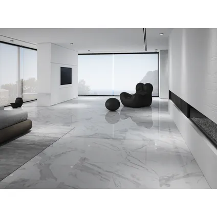 Wand- en vloertegel Calacatta polished - Keramiek - Wit/Grijs - 60x120cm - Pakketinhoud 1,44m² 2