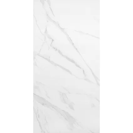 Wand- en vloertegel Calacatta polished - Keramiek - Wit/Grijs - 60x120cm - Pakketinhoud 1,44m² 3