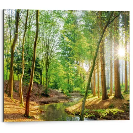 Peinture Forêt de Printemps Nature Panneau décoratif 50 x 40 cm