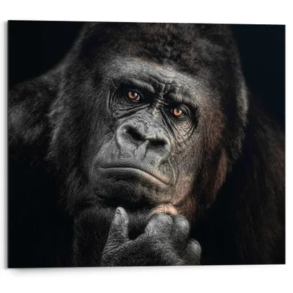 Peinture Gorille Singe Panneau décoratif 50 x 40 cm
