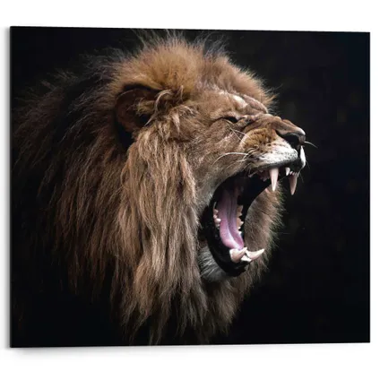 Peinture Lion Jungle Panneau décoratif 50 x 40 cm