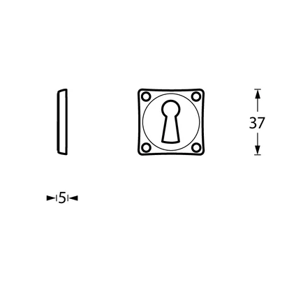Intersteel rozet sleutelgat vierkant basic nikkel 2