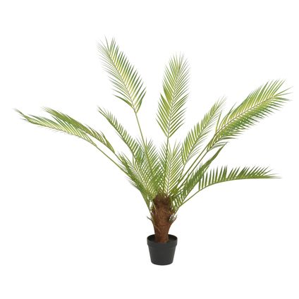 Palmboom in pot 120 cm