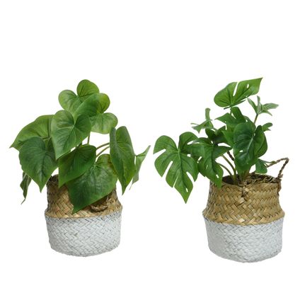 Kunstplanten in pot 2 assorti 26 cm