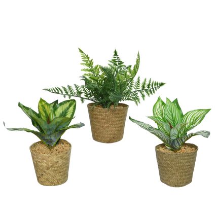 Kunstplanten in pot 3 assorti 18 cm