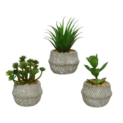 Plantes artificielles en pot 3 assorties 14 cm