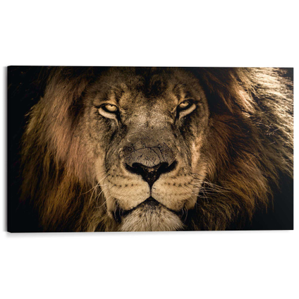 Tableau Deco Panel Lion 118x70cm