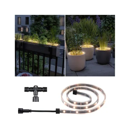 Ruban LED extérieur Paulmann Outdoor Link & Light Flower Box extension 80cm 3