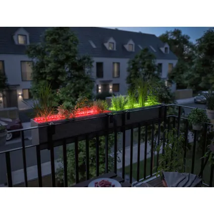 Ruban LED extérieur Paulmann Outdoor Link & Light Flower Box RGB 80cm avec interrupteur tactile 6