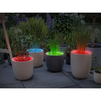 Ruban LED extérieur Paulmann Outdoor Link & Light Flower Box RGB 80cm avec interrupteur tactile 7