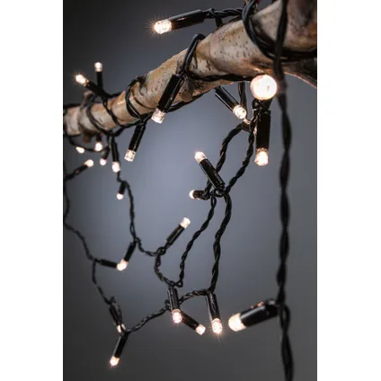 Guirlande lumineuse Paulmann Outdoor Link & Light noir 6,7m 1W 4