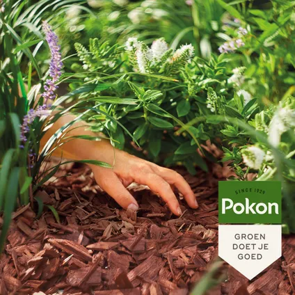 Pokon Houtsnippers Cacaobruin - 45L 5