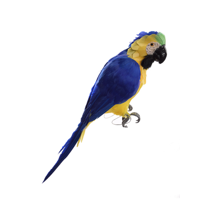 Perroquet jaune/bleu/vert 46cm