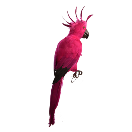 Grote decoratieve papegaai roze 55cm