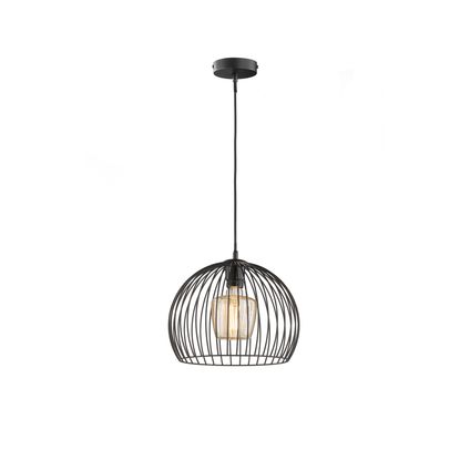 Fischer & Honsel hanglamp Wire zwart ⌀40cm E27