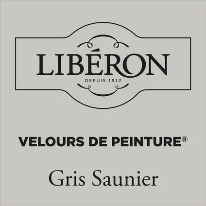 Libéron muurverf Velours de Peinture Gris Saunier fluweel mat 500ml 2