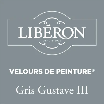 Peinture murale Libéron Velours de Peinture Gris Gustave III mat velouté 500ml 2