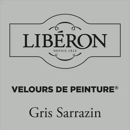Libéron muurverf Velours de Peinture Gris Sarrazin fluweel mat 500ml 2