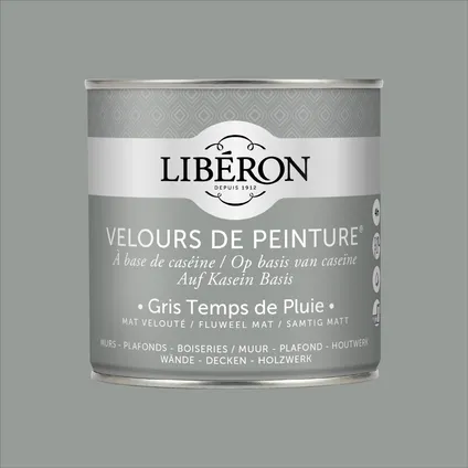 Libéron muurverf Velours de Peinture Gris Temps De Pluie fluweel mat 500ml 5